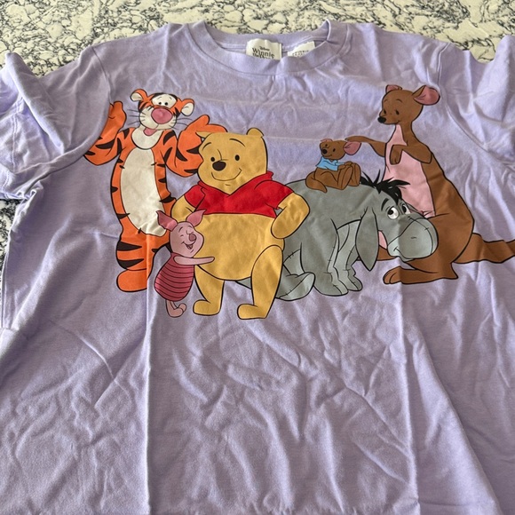 Disney Lavender T-Shirt with Winnie the Pooh Characters. Brand new. - Picture 1 of 3